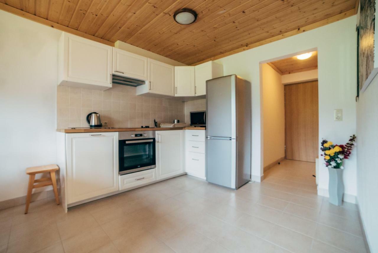 Haus Izabella Apartment Filzmoos Bagian luar foto